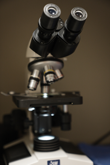Close-up of a laboratory microscope.