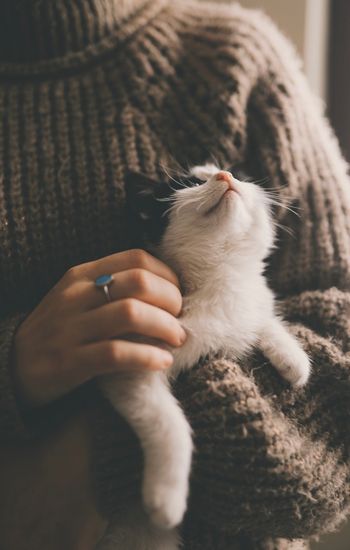 girl holding a cat in arms